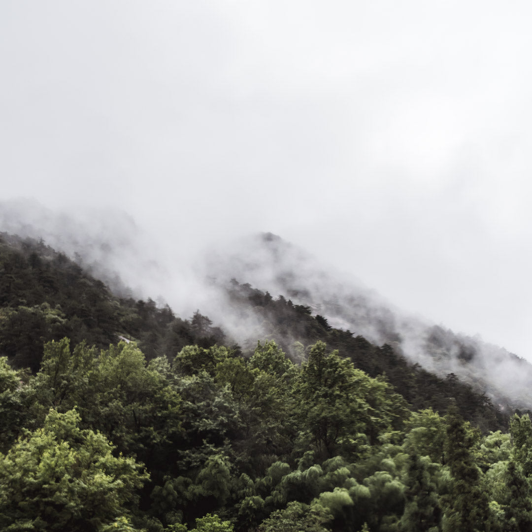 Mist over a mountain of forrest